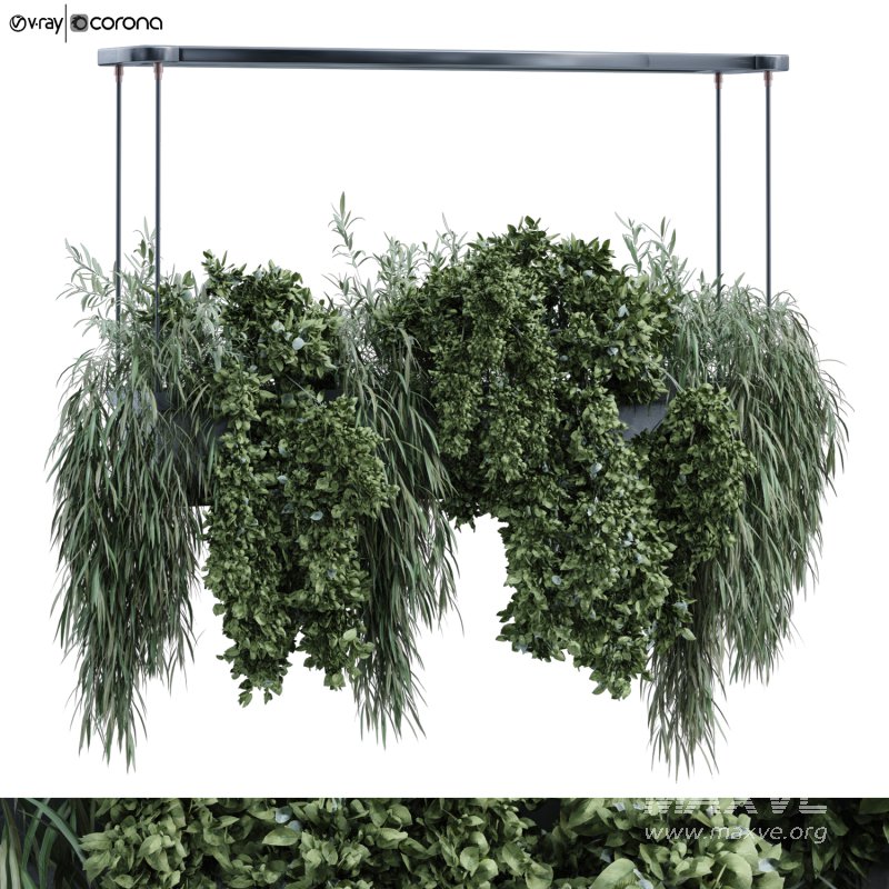 green plant in box 359 - Image 1