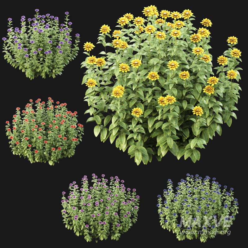 Wild flower bush - Image 3