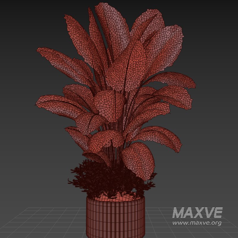 Indoor plant 06 - Image 3