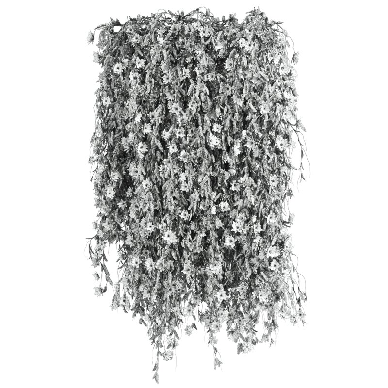 hanging plants - Image 3