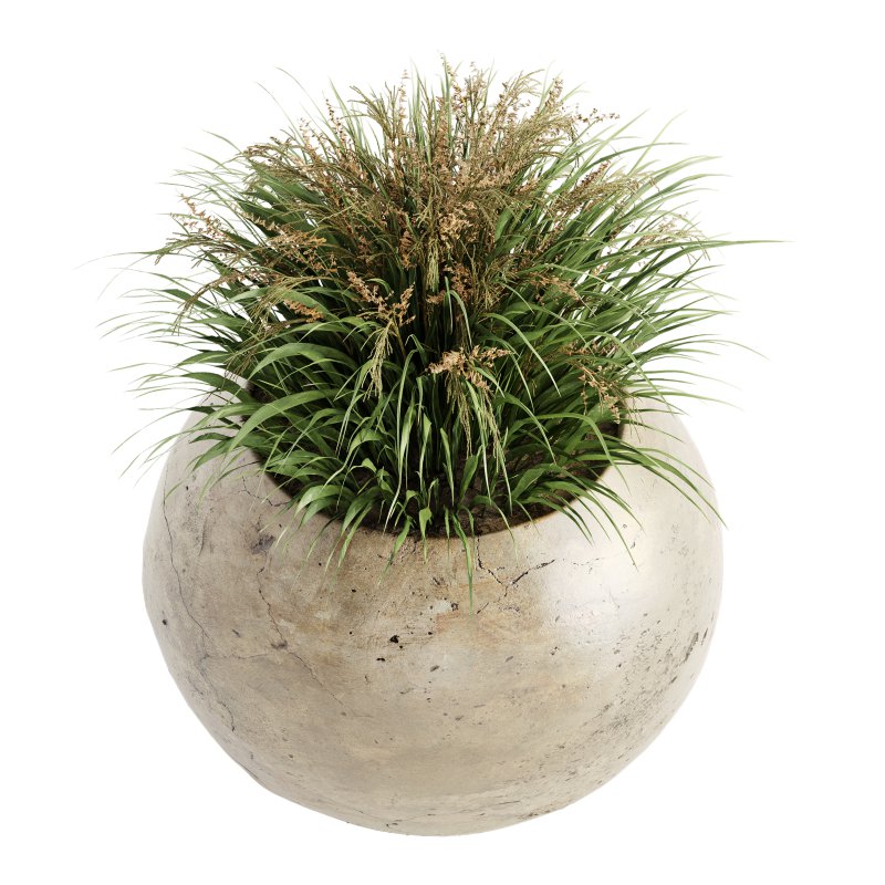 Outdoor Plant Set 016 - Image 2