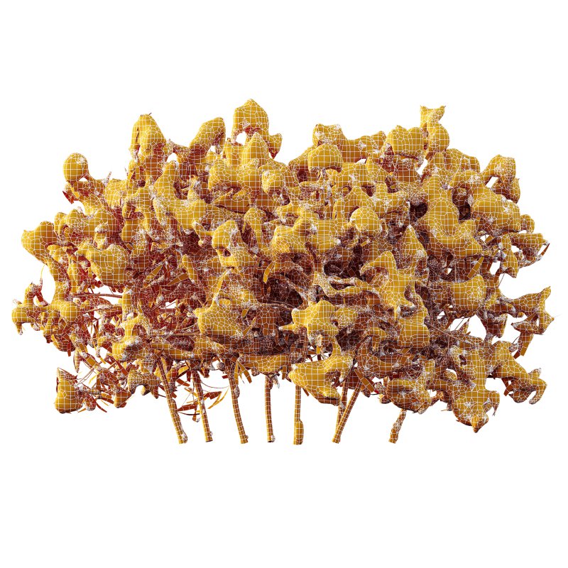 AV Plants Rhododendron Arboreum Bush Winter Snow - Image 3