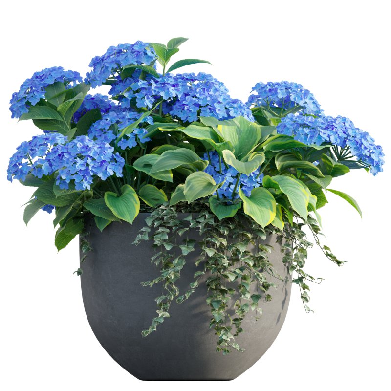 Pot plant 03 - Image 2