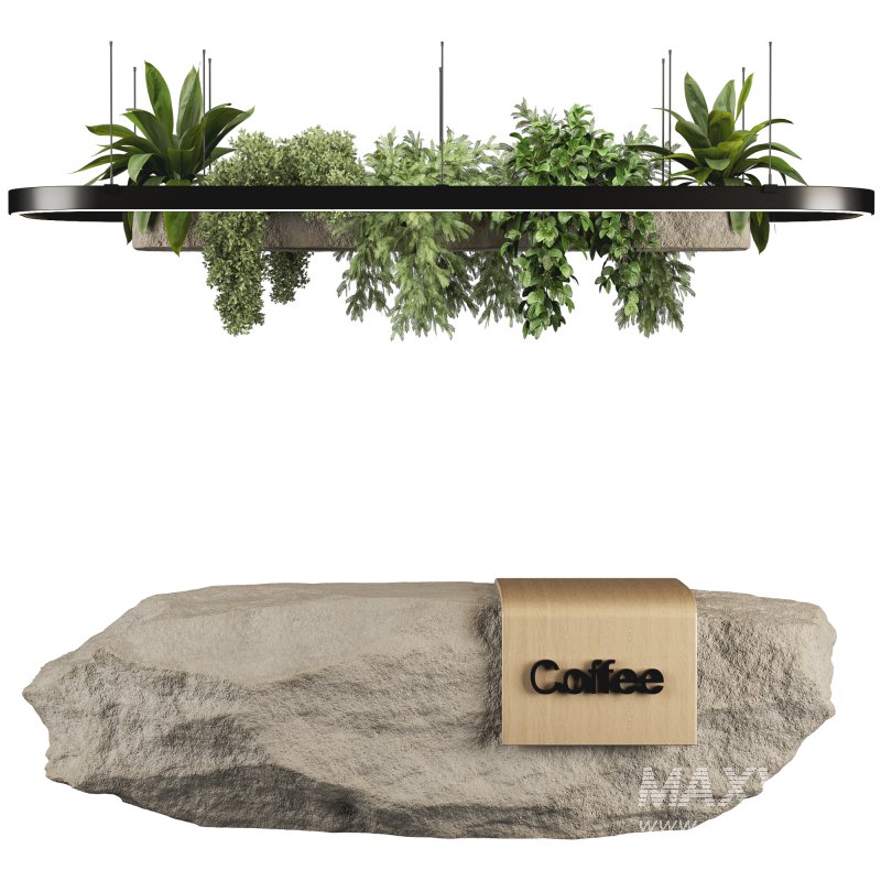 Reception Desk With Hanging Plants set12 - Image 5