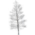 AV Plants Oak Tree Winter Snow Tree - Thumbnail 1