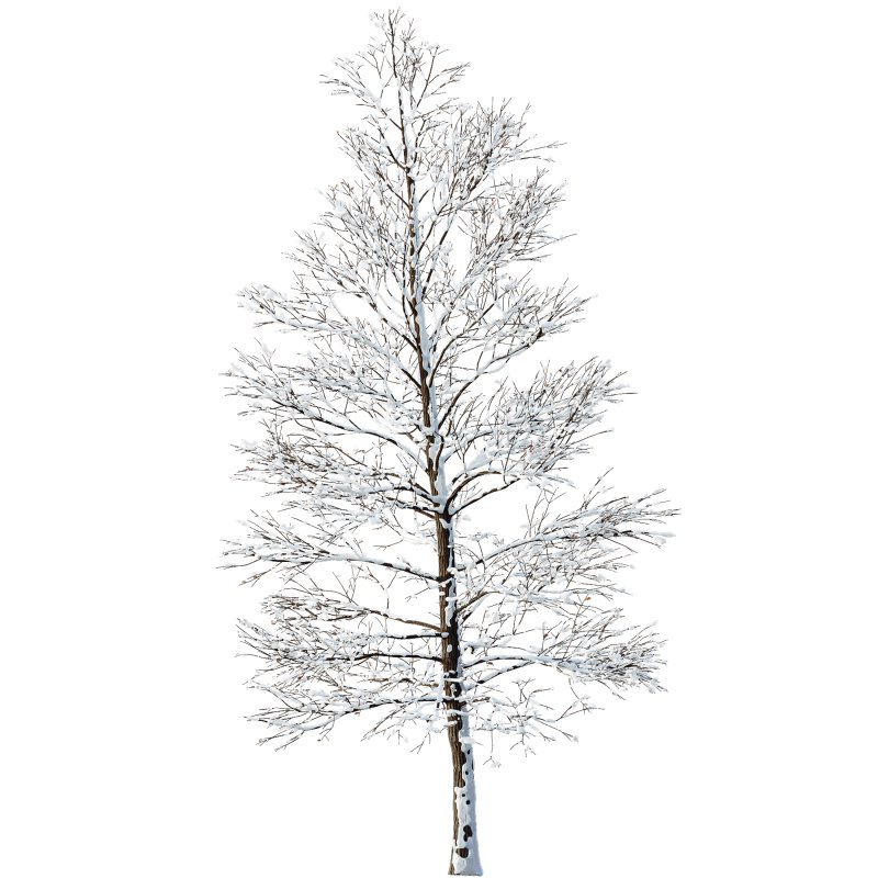 AV Plants Oak Tree Winter Snow Tree - Image 1