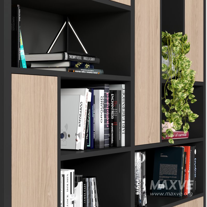 Bookcase - Image 3