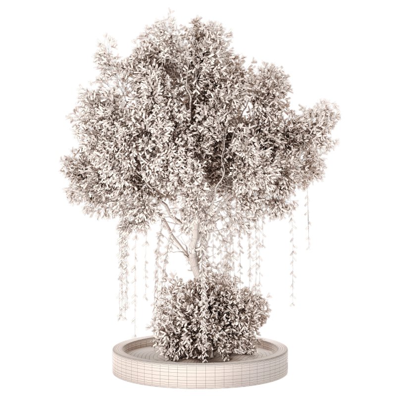 Outdoor Plant Set 014 - Image 4