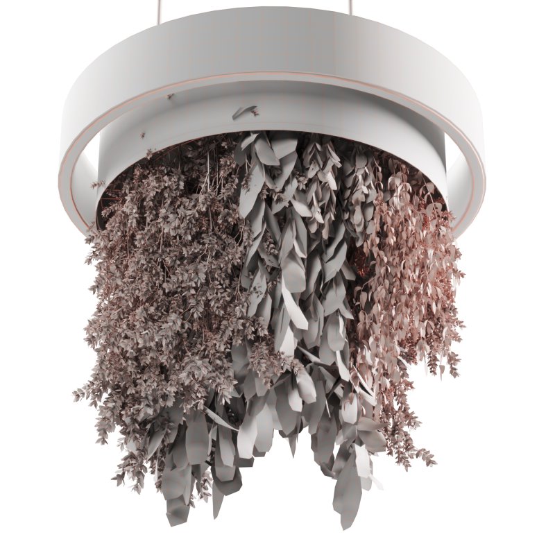 Indoor plants Hanging Plants set91 - Image 4