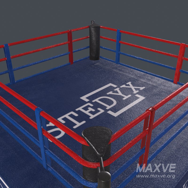 boxing ring - Image 3