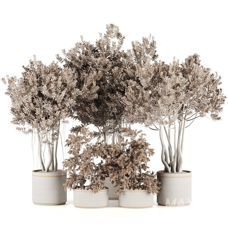 Indoor plants-Pot and tree set167 - Image 2