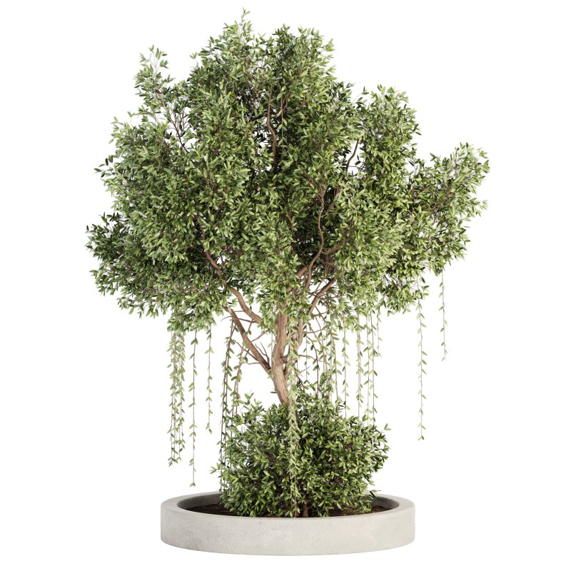 Outdoor Plant Set 014 - Image 1