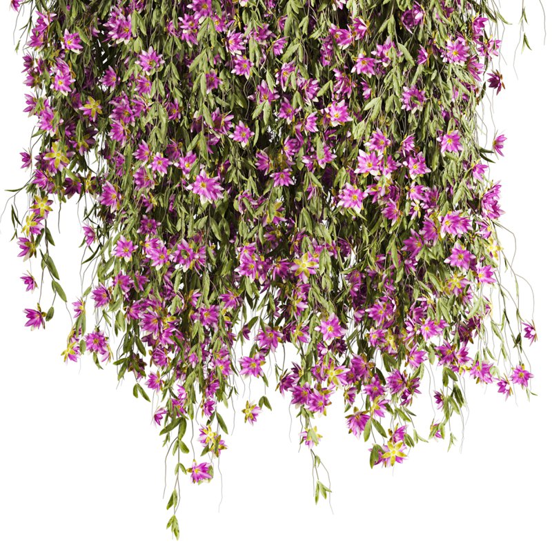 hanging plants - Image 2