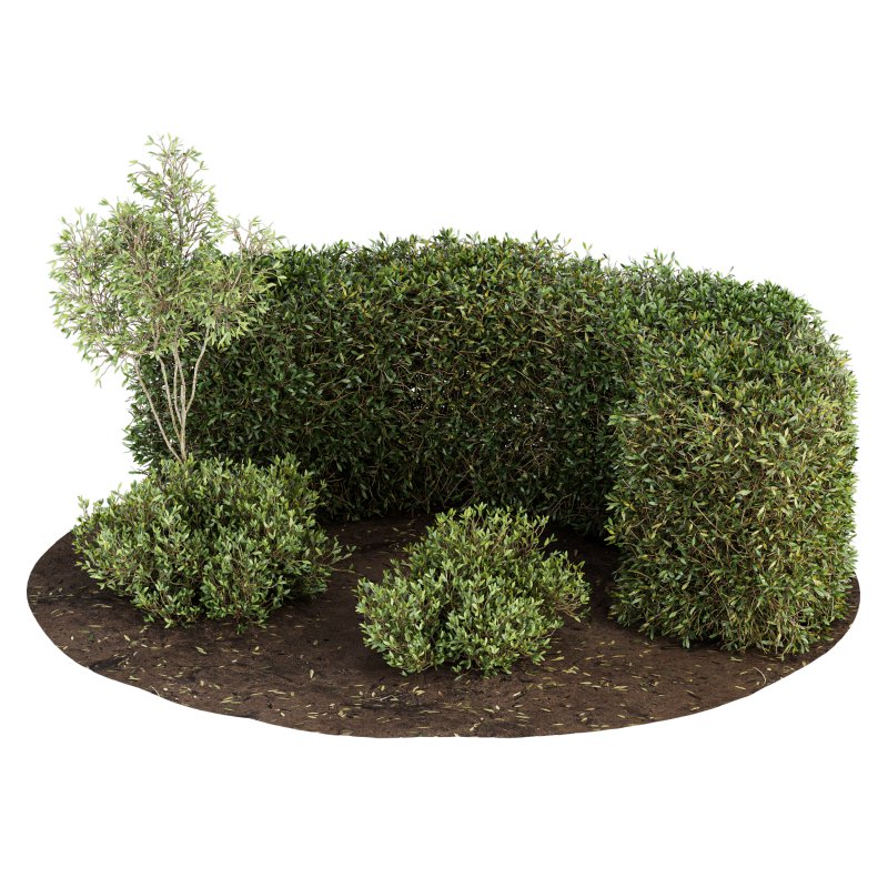 Outdoor Plant Set 08 - Image 1