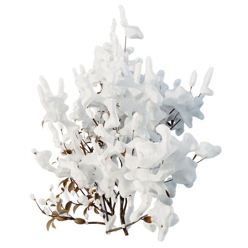 AV Plants Kapebonavista Pachystachys Lutea Golden Shrimp Winter Snow - Image 2