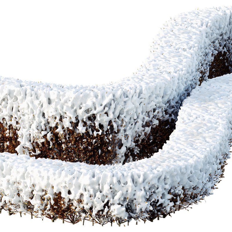 AV Plants Red Ixora Jasmine Gardens Chinese Dwarf Coccinea Winter Snow - Image 1