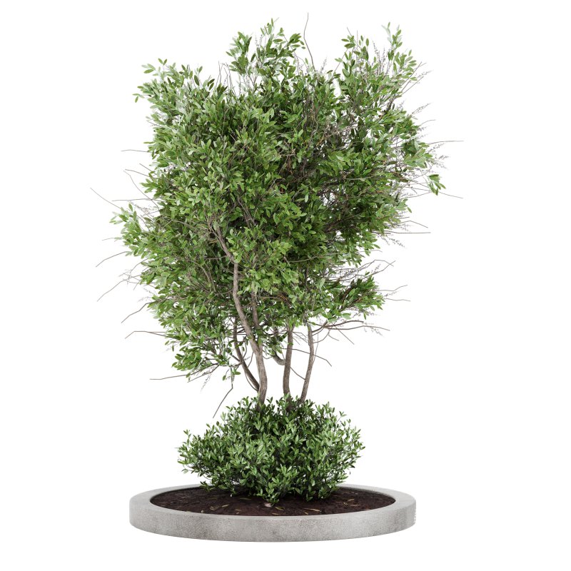 Outdoor Plant Set 011 - Image 2