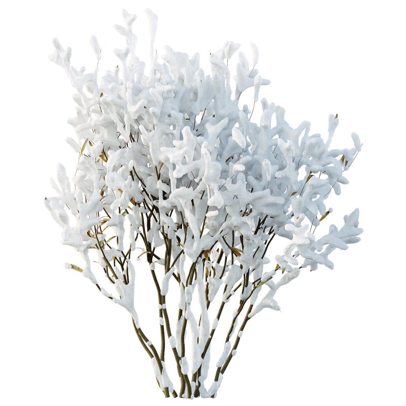 AV Plants Nerium Oleander Laurier Kaner Rose Pink Flower Winter Snow - Image 2