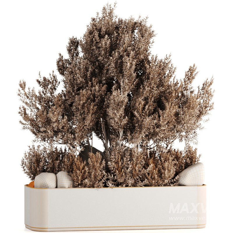 Indoor plants-Pot and tree set168 - Image 2