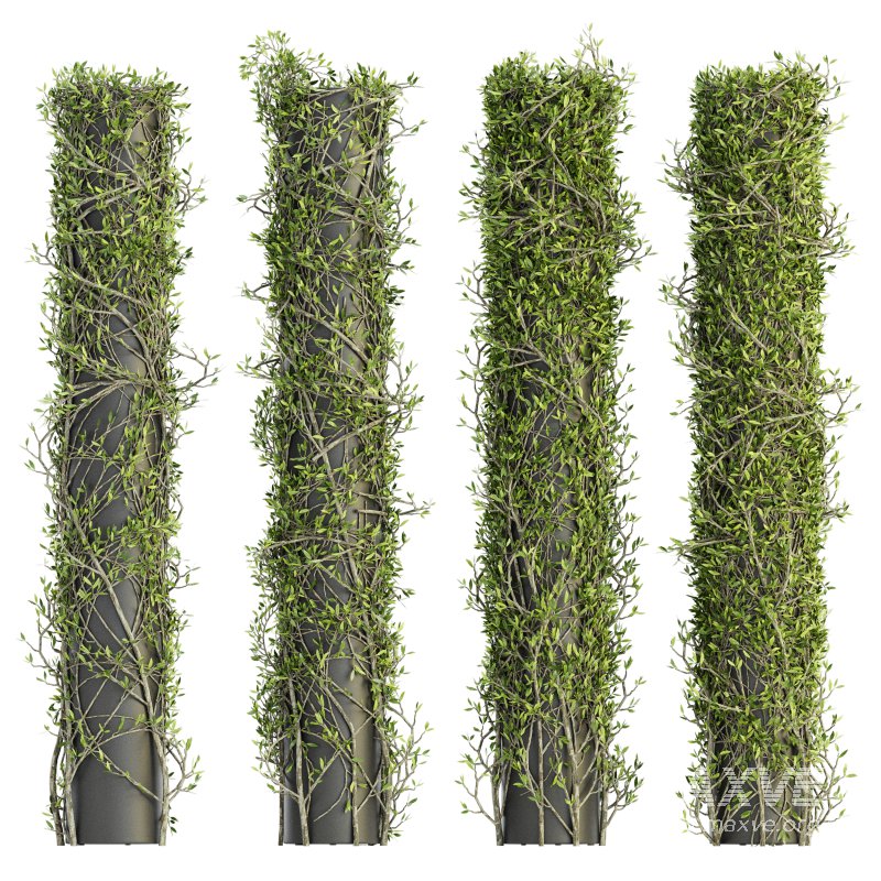 Outdoor Plant Set 09 - Image 1