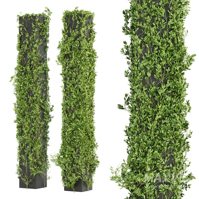 Outdoor Plant Set 012 - Image 1