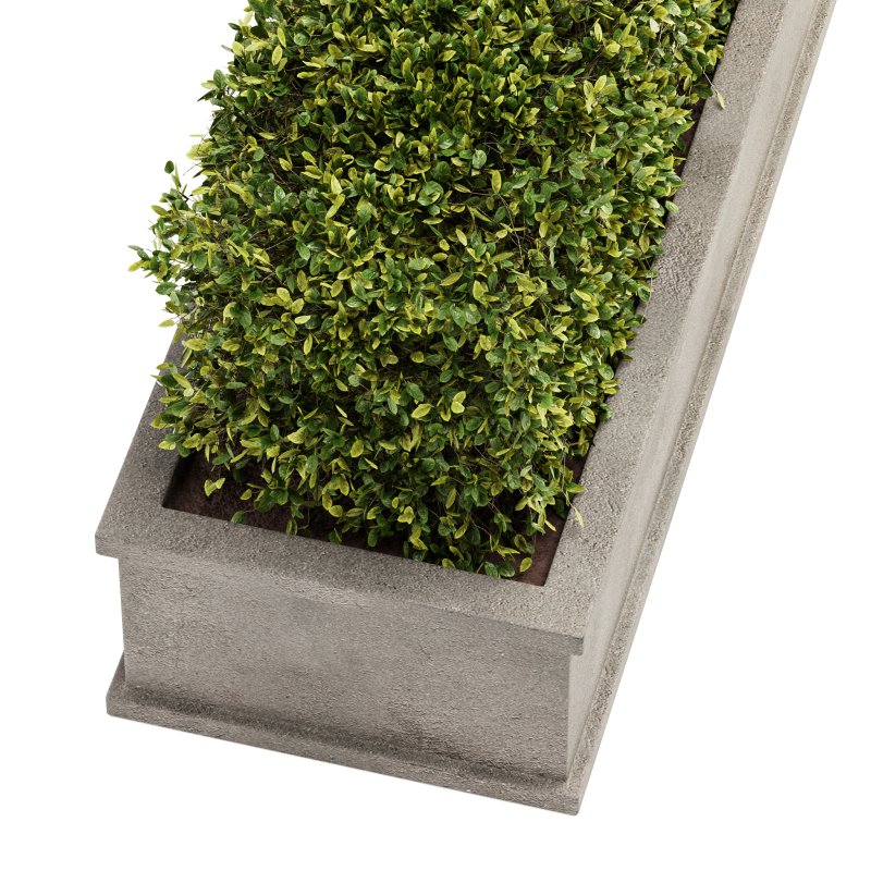 Outdoor Plant Set 04 - Image 3