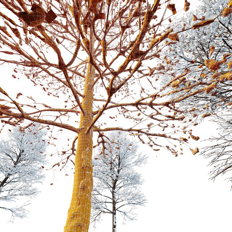 AV Plants Oak Tree Winter Snow Tree - Image 4