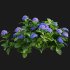 Hydrangea 02 - Thumbnail 6