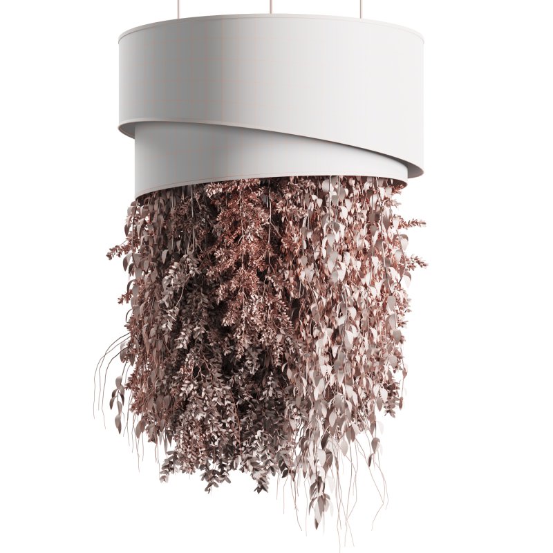 Indoor plants Hanging Plants set90 - Image 3