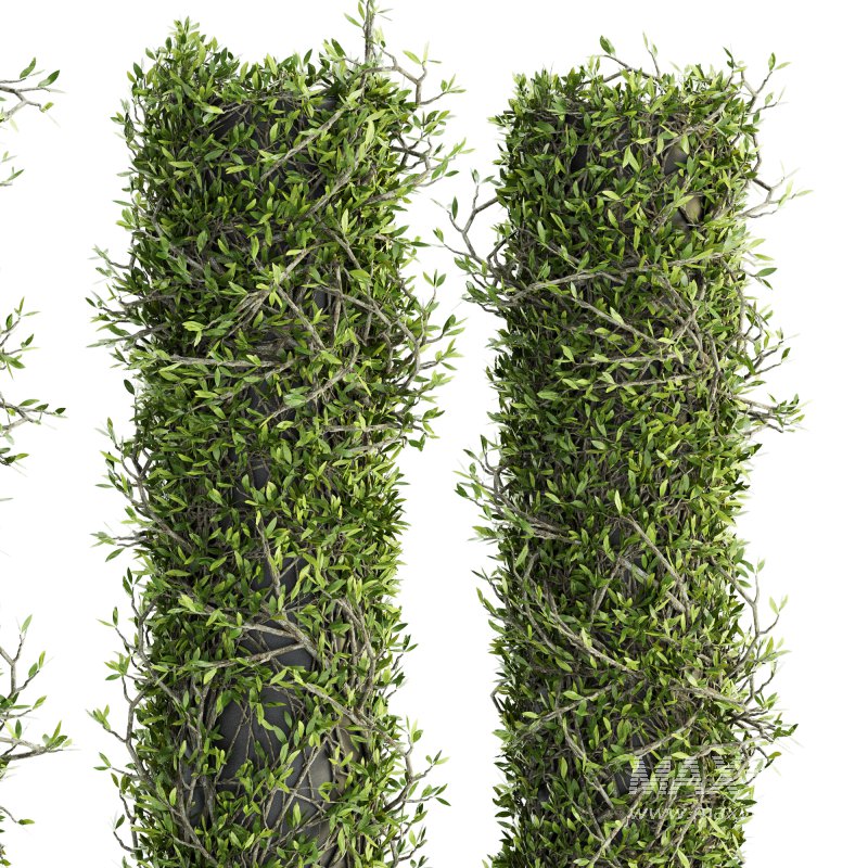 Outdoor Plant Set 09 - Image 2