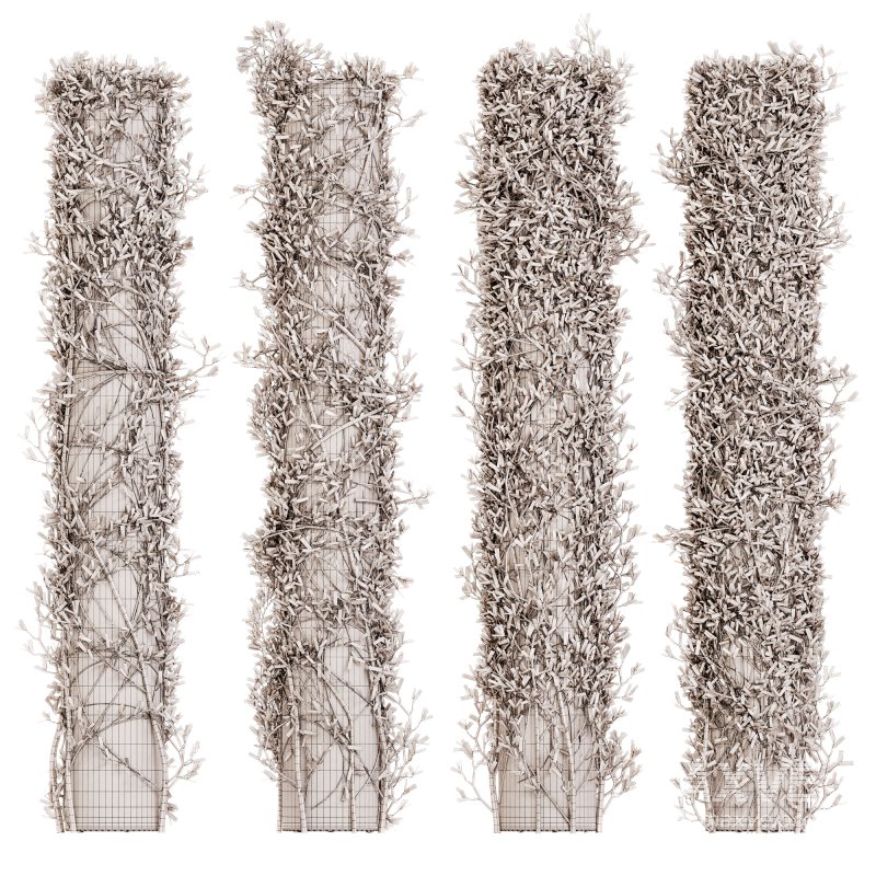 Outdoor Plant Set 09 - Image 4