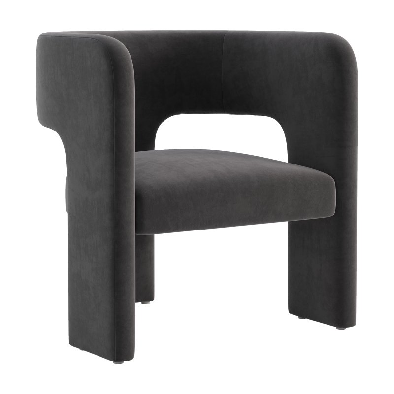 Isidore Lounge Chair - Image 4