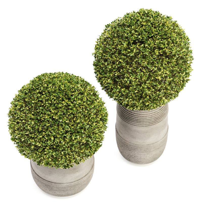 Outdoor Plant Set 05 - Image 2