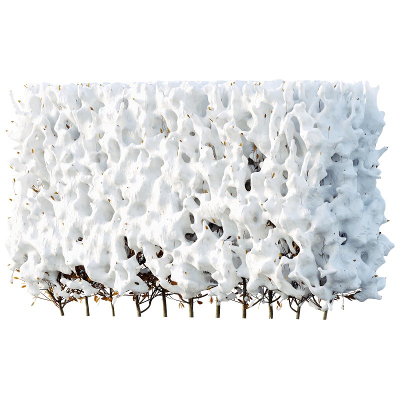 AV Plants Red Ixora Jasmine Gardens Chinese Dwarf Coccinea Winter Snow - Image 2