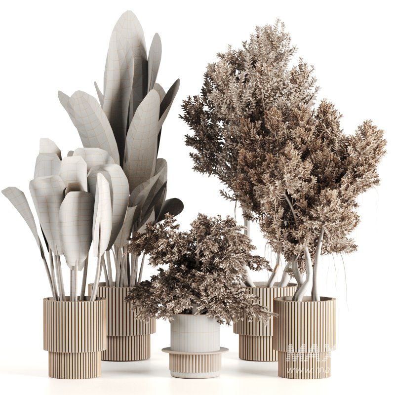 Indoor plants-Pot and tree set168 - Image 6