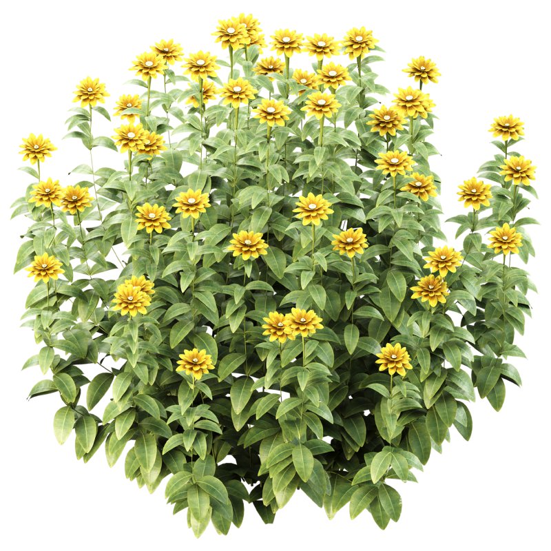 Wild flower bush - Image 4