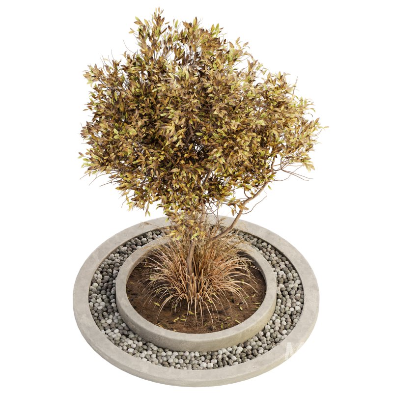 Outdoor Plant Set 017 - Image 2