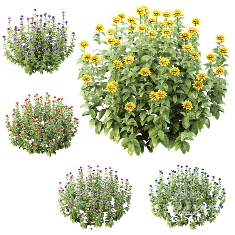 Wild flower bush - Image 2