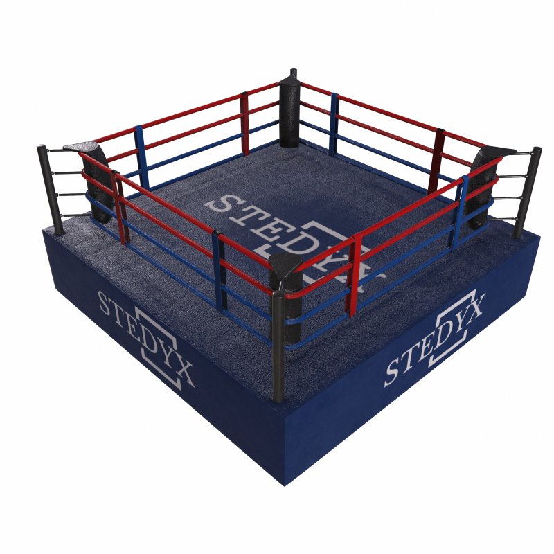 boxing ring - Image 5