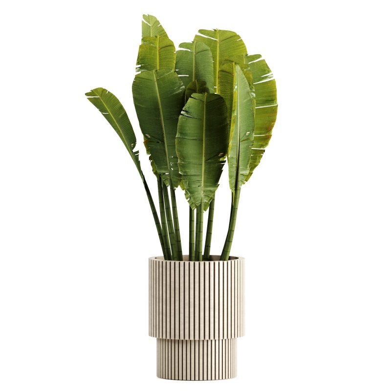 Indoor plants-Pot and tree set168 - Image 1