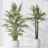 AV Indoor plants set 186 Olive Artificial and Arboricola Umbrella and Areca Palm and Rhapis Excelsa Lady Palm and Ruffled Fan Palm - Thumbnail 6