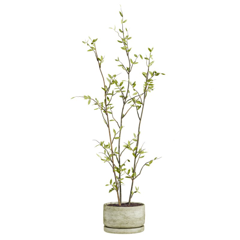 plants set - Image 1