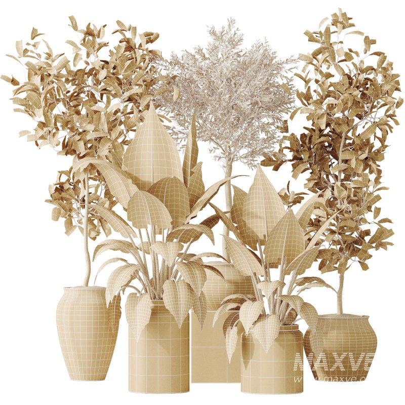 AV Indoor plants set 181 Alocasia Elefantenohr Wentii and Briful Pachira Aquatica Grand Artificiel and Olive Elegant Mission - Image 11