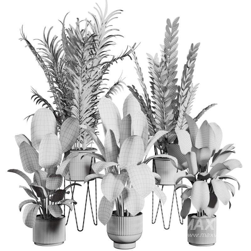 indoor plant 523 - Image 2