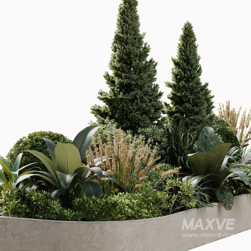 Outdoor Plant 38 - Image 4