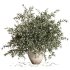 Olive Branches in Textured Ceramic Vase - Thumbnail 1