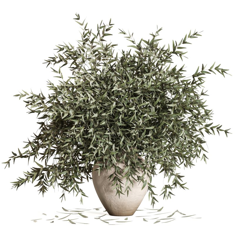 Olive Branches in Textured Ceramic Vase - Image 1