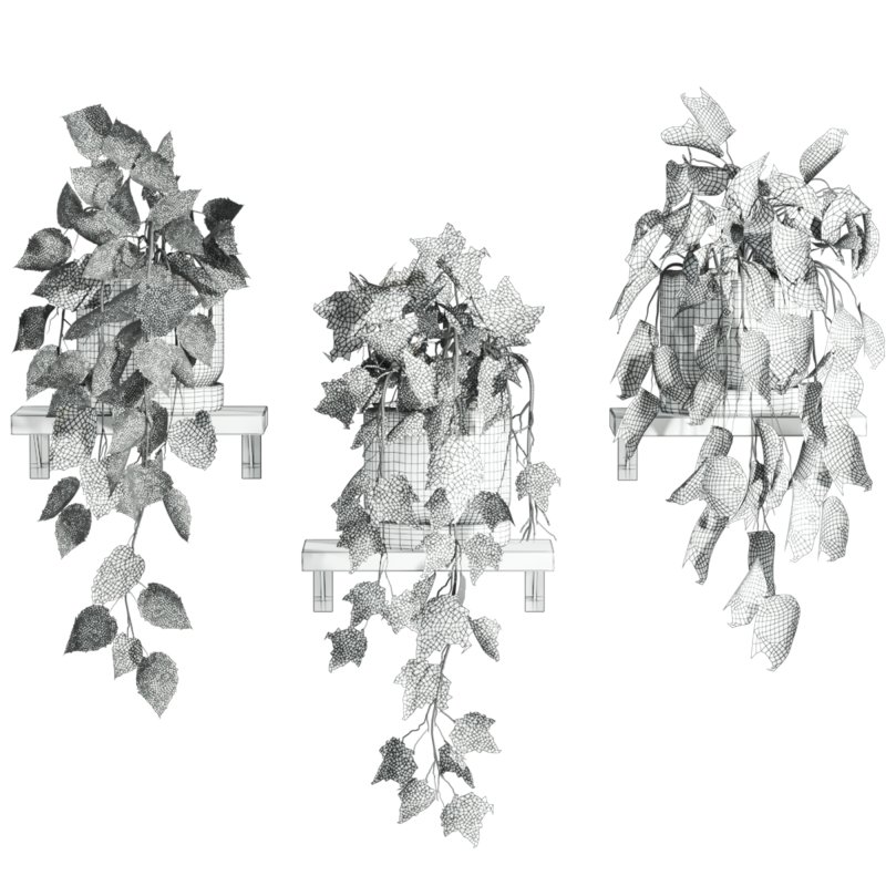 plants set on shelf - Image 4