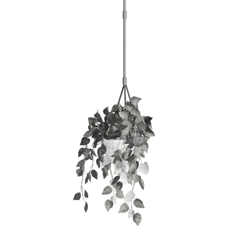 hanging plant - Image 4
