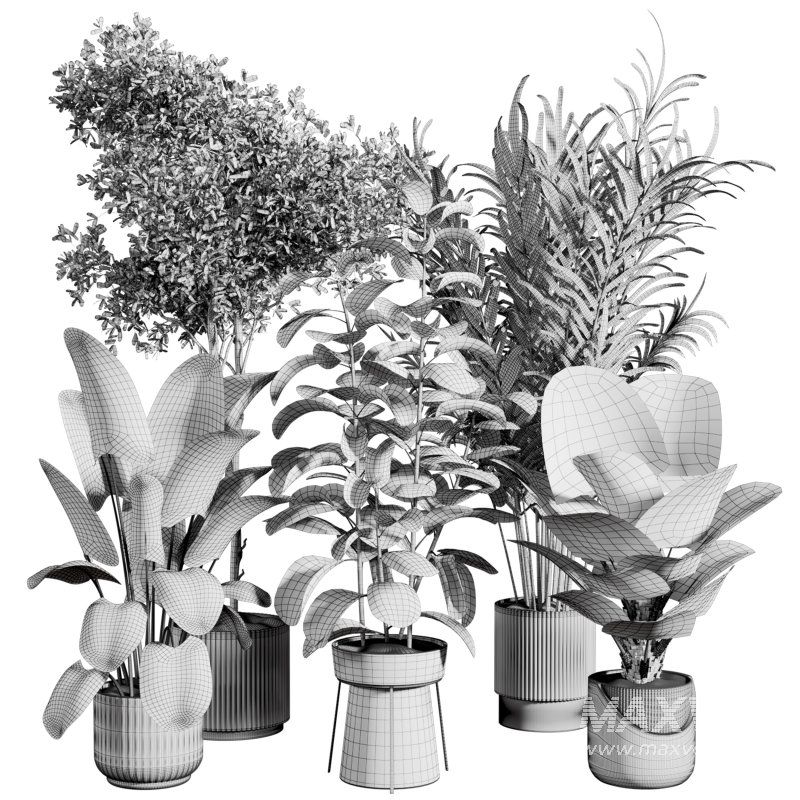 indoor plant 522 - Image 3